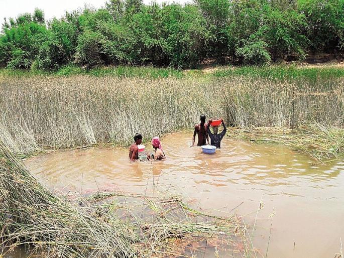 Slowly accompanied by human submarines in river basin of Rahuri taluka | राहुरी तालुक्यातील मुळा नदीपात्रात मानवी पाणबुड्यांच्या साह्याने वाळूउपसा Slowly accompanied by human submarines in river basin of Rahuri taluka | राहुरी तालुक्यातील मुळा नदीपात्रात मानवी पाणबुड्यांच्या साह्याने वाळूउपसा