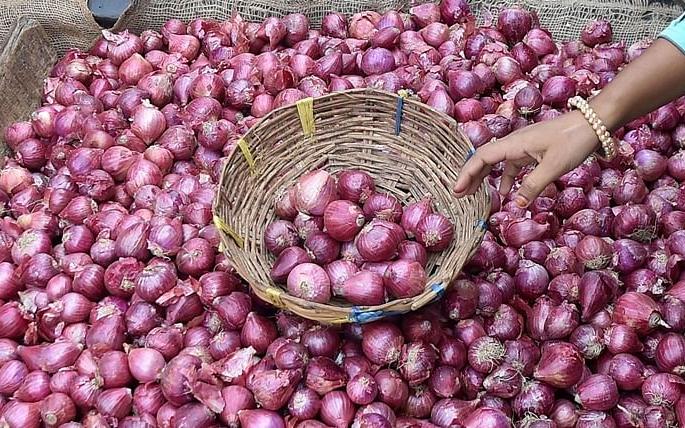 The arrival of red onion in the Yeola Bazar Committee increased | येवला बाजार समितीत लाल कांद्याची आवक वाढली The arrival of red onion in the Yeola Bazar Committee increased | येवला बाजार समितीत लाल कांद्याची आवक वाढली