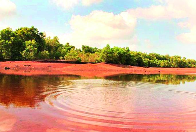 The water level in the plains of Chiplun city decreased, and by the end of May there would be another decline | चिपळूण शहरातील तळ्यांमधील पाणीपातळी खालावली, मे अखेरीस आणखीन घटणार The water level in the plains of Chiplun city decreased, and by the end of May there would be another decline | चिपळूण शहरातील तळ्यांमधील पाणीपातळी खालावली, मे अखेरीस आणखीन घटणार