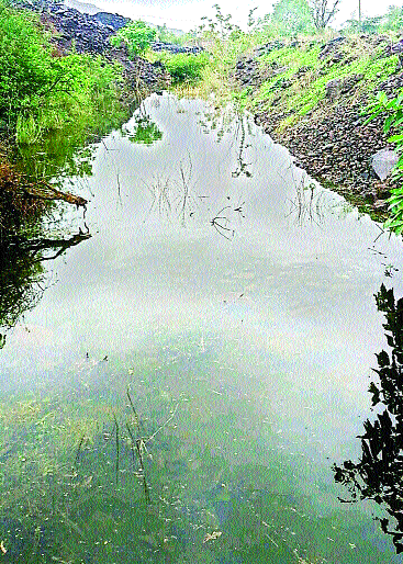 After all, the fruit of slimeish sweat | अखेर श्रमाच्या घामाला मिळालं फळ