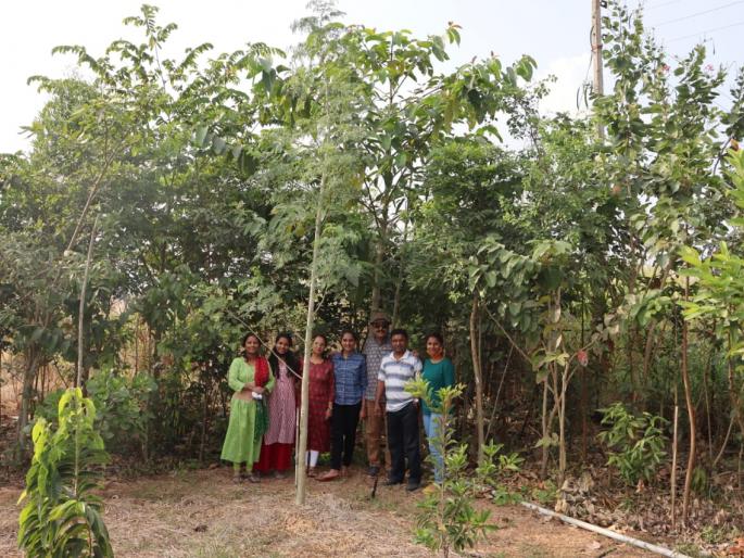 Construction of two Miyavaki forest projects. | शिराळा नगरपंचायत उभारले दोन मियावकी जंगल प्रकल्प