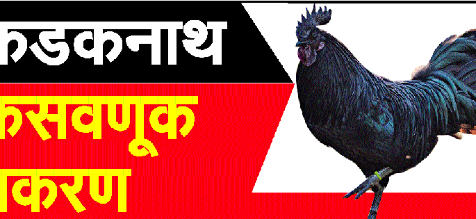 Big bear for farmers complaining in brick; Dirty from 'mahriyat' | विट्यामध्ये शेतकऱ्यांची तक्रारीसाठी मोठी रीघ; ‘महारयत’कडून गंडा