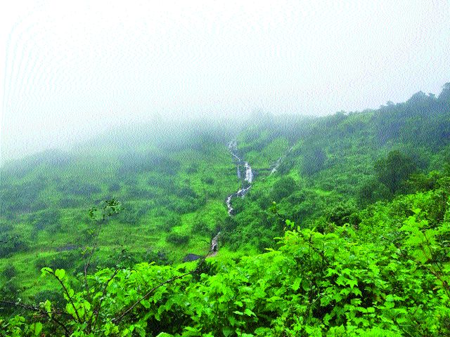 Increase in water for Vaitarna dam | वैतरणा धरणाच्या पाणीसाठ्यात वाढ Increase in water for Vaitarna dam | वैतरणा धरणाच्या पाणीसाठ्यात वाढ
