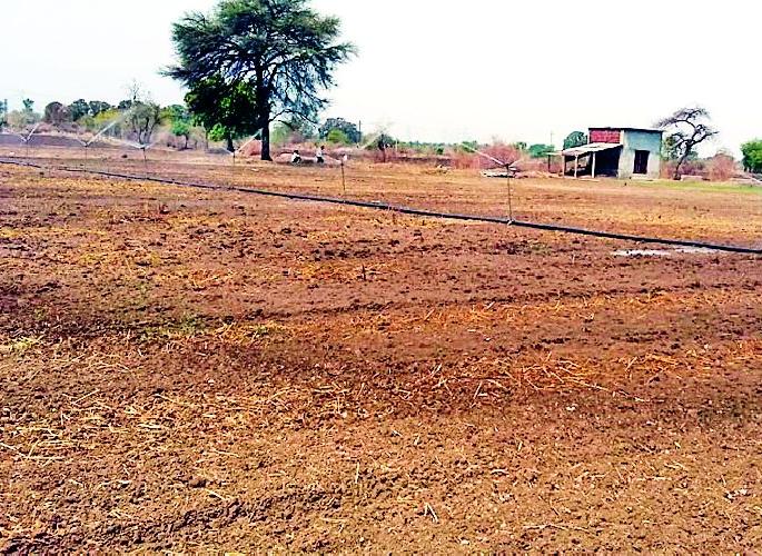 In the final phase of the mashagati works | मशागतीची कामे अंतिम टप्प्यात In the final phase of the mashagati works | मशागतीची कामे अंतिम टप्प्यात