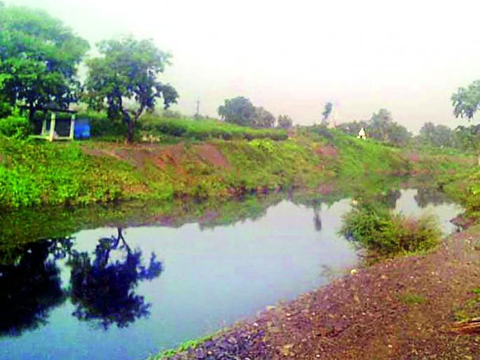 Due to the Jalakit Shivar Yojana, Umargana has transformed into Paradise | जलयुक्त शिवार योजनेमुळे उमरगावचे झाले नंदनवन Due to the Jalakit Shivar Yojana, Umargana has transformed into Paradise | जलयुक्त शिवार योजनेमुळे उमरगावचे झाले नंदनवन