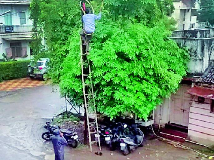 'Out Sourcing' employees of MSEDCL are waiting for salary | महावितरणच्या ‘आऊट सोर्सिंग’ कर्मचाऱ्यांना वेतनाची प्रतीक्षाच 'Out Sourcing' employees of MSEDCL are waiting for salary | महावितरणच्या ‘आऊट सोर्सिंग’ कर्मचाऱ्यांना वेतनाची प्रतीक्षाच