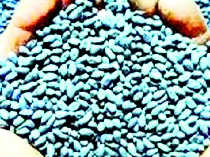 Warora, kalamana bogas seeds center | वरोरा, कळमना बोगस बियाणांचे केंद्र Warora, kalamana bogas seeds center | वरोरा, कळमना बोगस बियाणांचे केंद्र