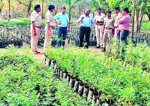 Modern Nursery Study of Singer | सिंगदच्या आधुनिक रोपवाटिकेची पाहणी