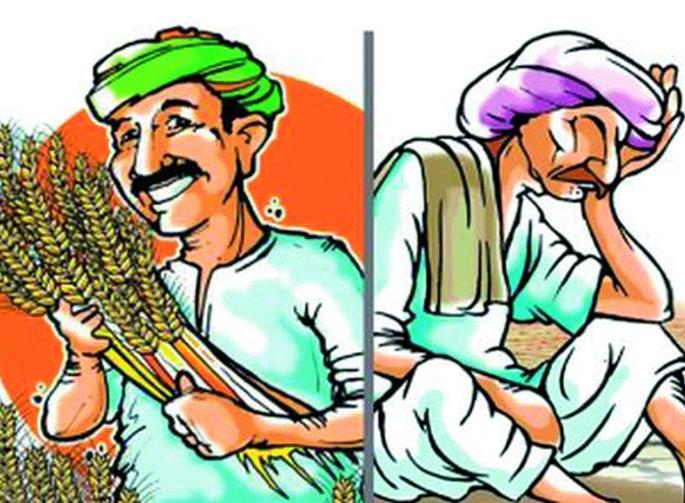 One and a half thousand farmers got interest waiver of Rs. 6 crore | दीड हजार शेतकऱ्यांना मिळाली सहा कोटी रुपयांची व्याजमाफी One and a half thousand farmers got interest waiver of Rs. 6 crore | दीड हजार शेतकऱ्यांना मिळाली सहा कोटी रुपयांची व्याजमाफी