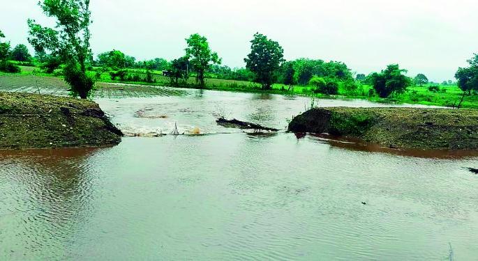 Heavy batting of rain; Heavy rains in Wani, Maregaon | पावसाची दमदार बॅटिंग; वणी, मारेगावमध्ये अतिवृष्टी Heavy batting of rain; Heavy rains in Wani, Maregaon | पावसाची दमदार बॅटिंग; वणी, मारेगावमध्ये अतिवृष्टी
