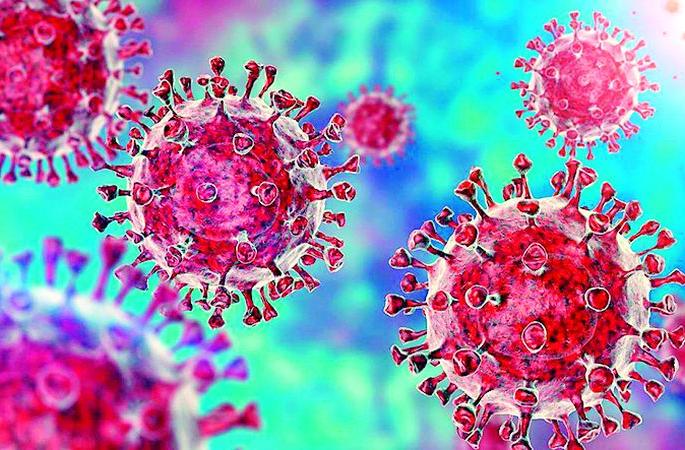 The rural health system is on alert mode to defeat Omycron | ओमायक्रॉनला हरविण्यासाठी ग्रामीण आरोग्य यंत्रणा आली अलर्ट मोडवर The rural health system is on alert mode to defeat Omycron | ओमायक्रॉनला हरविण्यासाठी ग्रामीण आरोग्य यंत्रणा आली अलर्ट मोडवर