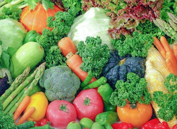 Message of health awareness through 'Ranbhaji Mahotsav' | ‘रानभाजी’ महोत्सवातून आरोग्य जनजागृतीचा संदेश