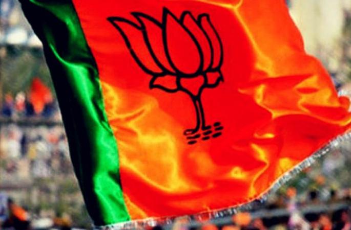 'Cluster' system for BJP in Lok Sabha | लोकसभेसाठी भाजपाकडून ‘क्लस्टर’ प्रणाली 'Cluster' system for BJP in Lok Sabha | लोकसभेसाठी भाजपाकडून ‘क्लस्टर’ प्रणाली
