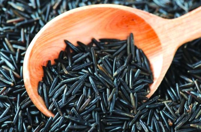 Organic 'Black Rice' grown by farmers of Nagpur | नागपूरच्या शेतकऱ्यांनी पिकविला सेंद्रिय ‘ब्लॅक राईस’ Organic 'Black Rice' grown by farmers of Nagpur | नागपूरच्या शेतकऱ्यांनी पिकविला सेंद्रिय ‘ब्लॅक राईस’
