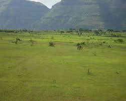 Distribution of soil health magazine Nagpur section of backward region | माती आरोग्य पत्रिका वाटपात नागपूर विभागाची पिछाडी