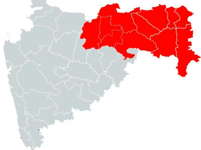 Lok Sabha Election 2019; Vidharbha air Fifty-Fifty! | Lok Sabha Election 2019; विदर्भात हवा फिफ्टी-फिफ्टी!