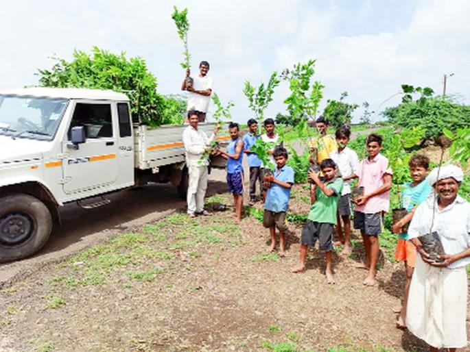 Orchards and fisheries now on the dam | बंधाऱ्यावर आता फळबाग आणि मत्स्य योजना Orchards and fisheries now on the dam | बंधाऱ्यावर आता फळबाग आणि मत्स्य योजना