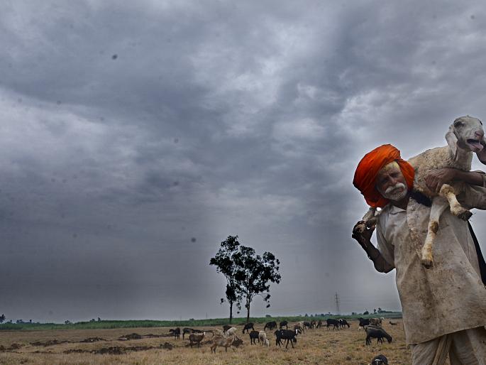 False burial, anxiety mixed, drying of farmers by strong rains | वळीव बरसला, चिंता मिटली, दमदार पावसाने शेतकरी सुखावला False burial, anxiety mixed, drying of farmers by strong rains | वळीव बरसला, चिंता मिटली, दमदार पावसाने शेतकरी सुखावला