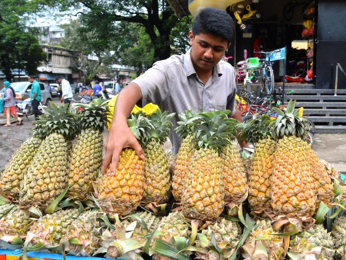 Onions are expensive, fruits bloom on the market | कांदा महागला, फळांनी बाजार फुलला : भाजीपाल्याची आवक वाढली Onions are expensive, fruits bloom on the market | कांदा महागला, फळांनी बाजार फुलला : भाजीपाल्याची आवक वाढली