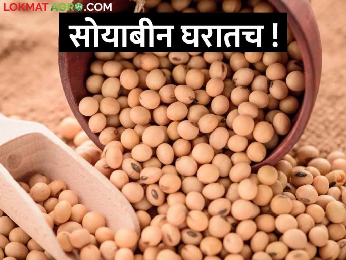 Soybean does not even get guaranteed price, how long will the price rise be stopped? Farmers' question | सोयाबीनला हमीभावही मिळेना, भाववाढीस किती थांबणार? शेतकऱ्यांचा सवाल
