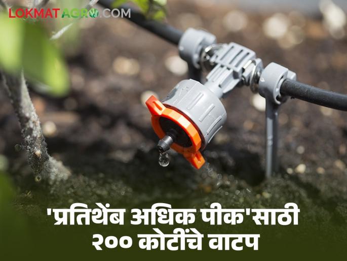 Scheme : 200 crore subsidy will be allocated for 'More income per drop' scheme | Scheme : 'प्रति थेंब अधिक उत्पन्न' योजनेसाठी २०० कोटी अनुदानाचे होणार वाटप Scheme : 200 crore subsidy will be allocated for 'More income per drop' scheme | Scheme : 'प्रति थेंब अधिक उत्पन्न' योजनेसाठी २०० कोटी अनुदानाचे होणार वाटप