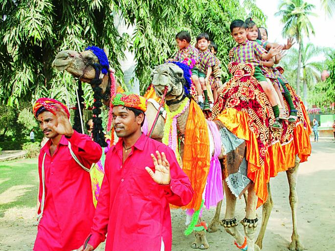 Uchachi Travel in 'Siddhartha' | ‘सिद्धार्थ’मध्ये उंटाची सफर Uchachi Travel in 'Siddhartha' | ‘सिद्धार्थ’मध्ये उंटाची सफर