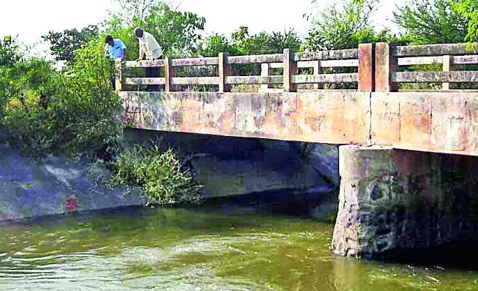 The concrete structure of the main canals collapsed with intrusions | मुख्य कालव्यांचे काँक्रीट अस्तरीकरण घुशींनी पोखरले The concrete structure of the main canals collapsed with intrusions | मुख्य कालव्यांचे काँक्रीट अस्तरीकरण घुशींनी पोखरले