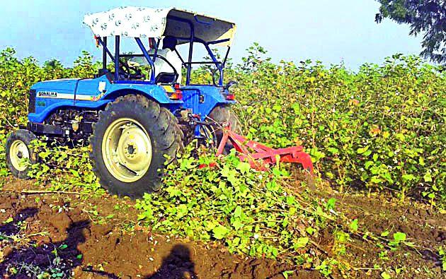 The farmer in Erode farmed the tractor | एरड येथील शेतकºयांनी कपाशीत घातला ट्रॅॅक्टर The farmer in Erode farmed the tractor | एरड येथील शेतकºयांनी कपाशीत घातला ट्रॅॅक्टर