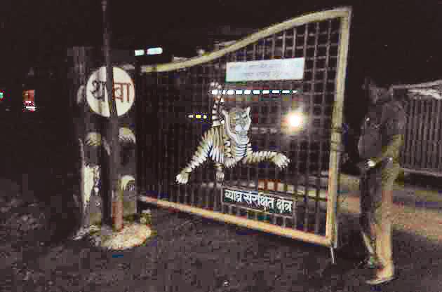 Illegal "blasting" in Sipana wildlife | सिपना वन्यजीव क्षेत्रात अवैध ‘ब्लास्टिंग’ Illegal "blasting" in Sipana wildlife | सिपना वन्यजीव क्षेत्रात अवैध ‘ब्लास्टिंग’