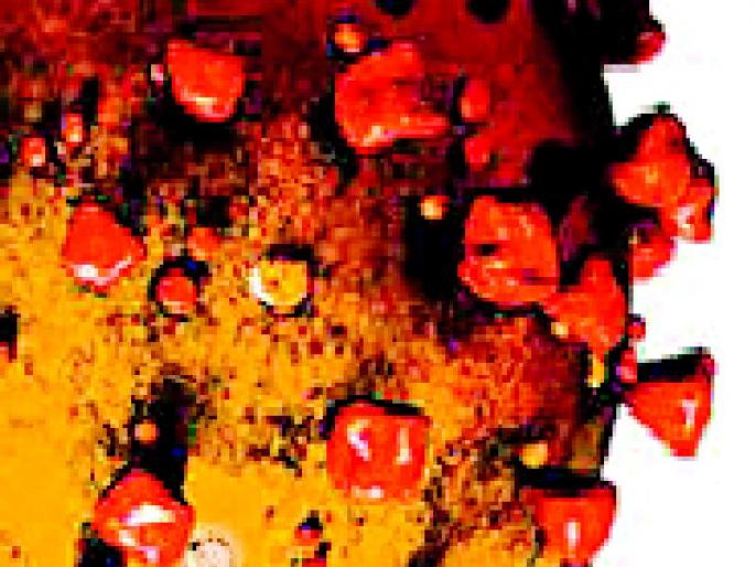 Vegetables, milk, groceries in Warud | वरूडमध्ये भाजीपाला, दूध, किराण्याची वानवा Vegetables, milk, groceries in Warud | वरूडमध्ये भाजीपाला, दूध, किराण्याची वानवा