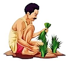 Online registration of two lakh farmers | दोन लाख शेतकºयांची आॅनलाईन नोंदणी Online registration of two lakh farmers | दोन लाख शेतकºयांची आॅनलाईन नोंदणी