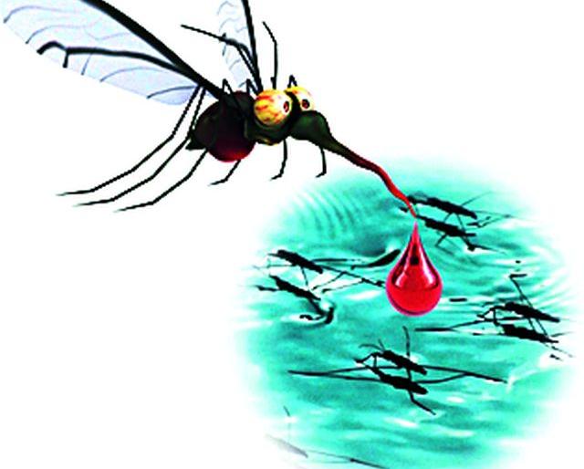 Dangue bleeding in the Chaitanya colony | चैतन्य कॉलनीत डेंग्यूचा उच्छाद Dangue bleeding in the Chaitanya colony | चैतन्य कॉलनीत डेंग्यूचा उच्छाद