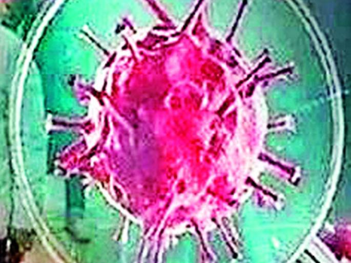 Only 100 of the 5 'corona' positives are at risk | १००‘कोरोना’ पॉझिटिव्ह पैकी पाच जणांनाच धोका Only 100 of the 5 'corona' positives are at risk | १००‘कोरोना’ पॉझिटिव्ह पैकी पाच जणांनाच धोका