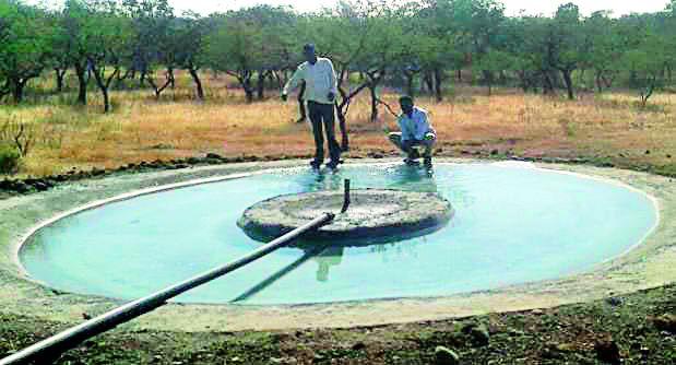 Wildlife craving for drinking water | पाणवठे भागवताहेत वन्यप्राण्यांची तृष्णा Wildlife craving for drinking water | पाणवठे भागवताहेत वन्यप्राण्यांची तृष्णा