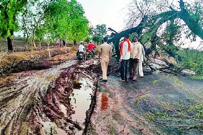 Due to the collapse of tree due to the storm, the Darayapur-Amravati route closed for three hours | वादळामुळे वृक्ष कोसळल्याने दर्यापूर-अमरावती मार्ग तीन तास बंद Due to the collapse of tree due to the storm, the Darayapur-Amravati route closed for three hours | वादळामुळे वृक्ष कोसळल्याने दर्यापूर-अमरावती मार्ग तीन तास बंद