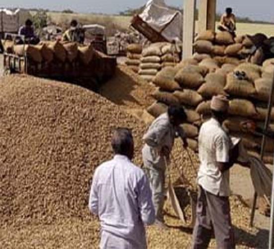 Due to poor planning of Nafed, the purchase of tur would betage in Beed | नाफेडच्या ढिसाळ नियोजनामुळे बीडमध्ये तूर खरेदीचा बोजवारा