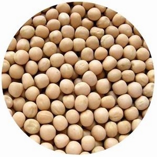 Pulses rose after the announcement of the threat | हमीभावाच्या घोषणेनंतर डाळी महागल्या Pulses rose after the announcement of the threat | हमीभावाच्या घोषणेनंतर डाळी महागल्या