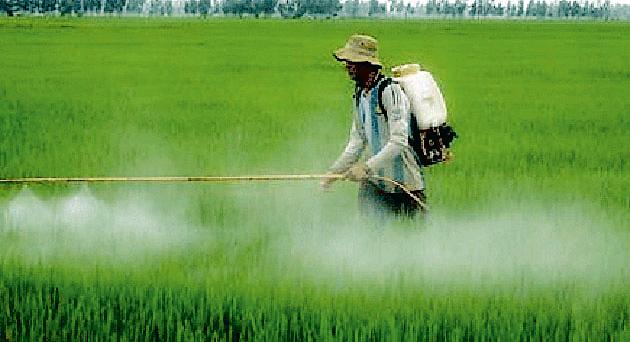 Be careful about pesticides | कीडनाशकाबाबत काळजी घ्या Be careful about pesticides | कीडनाशकाबाबत काळजी घ्या
