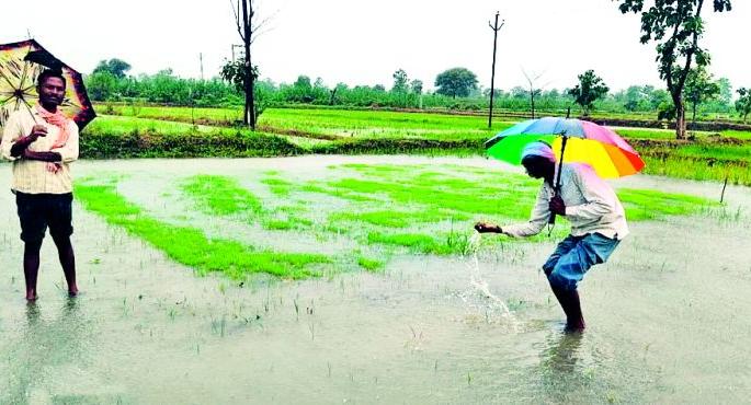 Farmers are happy! Ten days later Varun Raja was pleased | शेतकरी सुखावला! दहा दिवसानंतर वरुणराजा प्रसन्न Farmers are happy! Ten days later Varun Raja was pleased | शेतकरी सुखावला! दहा दिवसानंतर वरुणराजा प्रसन्न