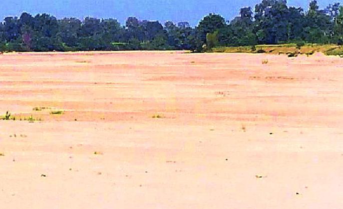 Seven smugglers are free to cheat | रेती तस्करांना चुलबंदचे पात्र मोकळे Seven smugglers are free to cheat | रेती तस्करांना चुलबंदचे पात्र मोकळे