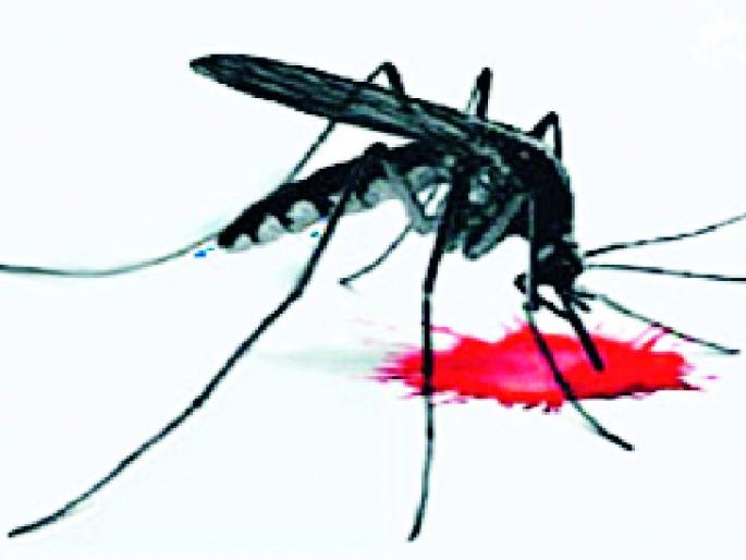 Dengue outbreaks in Kondha | कोंढा येथे डेंग्यूचा प्रकोप Dengue outbreaks in Kondha | कोंढा येथे डेंग्यूचा प्रकोप