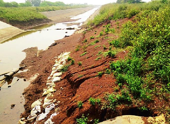 Canal lining works slowly | कालव्याच्या अस्तरीकरणाचे काम संथगतीने Canal lining works slowly | कालव्याच्या अस्तरीकरणाचे काम संथगतीने