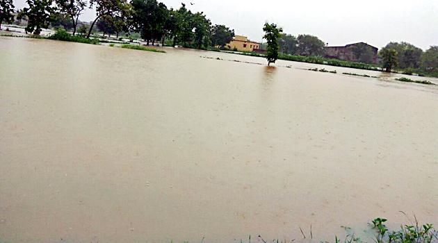 Stagnant rain; Windy rain | संततधार पाऊस; पवनीत अतिवृष्टी