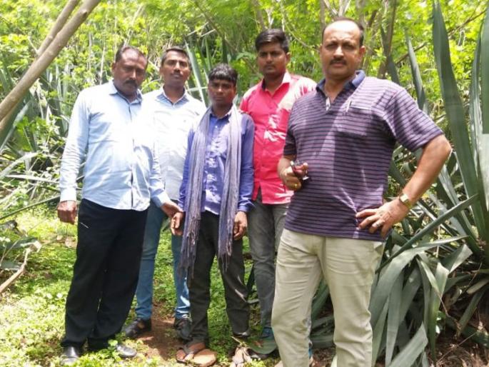 The third suspect in the murder of Ranepad was Ziharband | राईनपाड्याच्या हत्याकांडातील तिसरा संशयित जेरबंद The third suspect in the murder of Ranepad was Ziharband | राईनपाड्याच्या हत्याकांडातील तिसरा संशयित जेरबंद