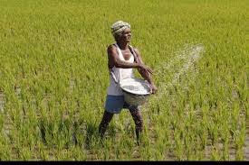 Guidance to farmers in Naigaon area | नायगाव परिसरात शेतकऱ्यांना मार्गदर्शन Guidance to farmers in Naigaon area | नायगाव परिसरात शेतकऱ्यांना मार्गदर्शन