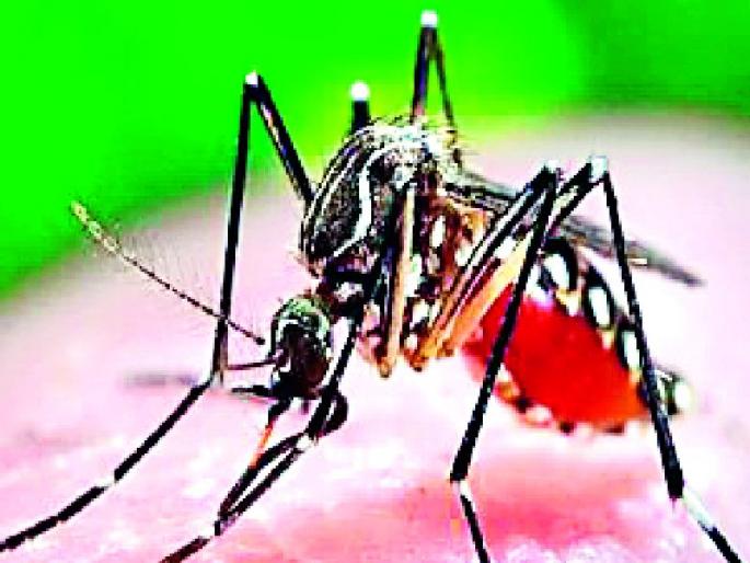 Dengue Prevention Awareness | डेंग्यू प्रतिबंधात्मक जागृती