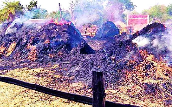 The shortscrew hit five heaps of sesame | शॉर्टसर्किटने तणसाचे पाच ढीग जळून खाक