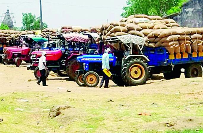 Marketing Federation works by buying paddy! The process of action begins | धान खरेदीने मार्केटिंग फेडरेशन काेमात ! कारवाईची प्रक्रिया सुरु
