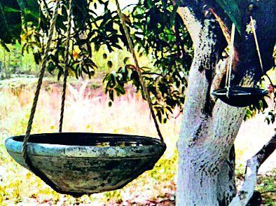 The need of the hour is to save the bird | पक्षी वाचविणे ही काळाची गरज The need of the hour is to save the bird | पक्षी वाचविणे ही काळाची गरज