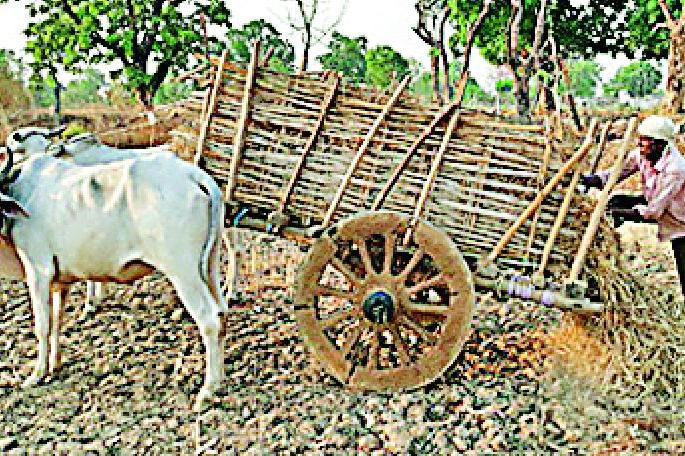 This year, planning on 1,091,000 hectares of Kharif | यंदा खरीपचे १ लाख ९१ हजार हेक्टरवर नियोजन